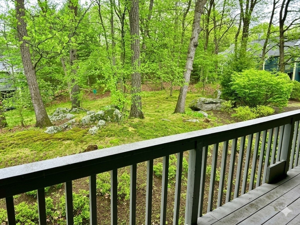 8 Deer Path # 5