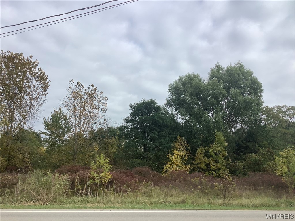 V/L Shawnee Road