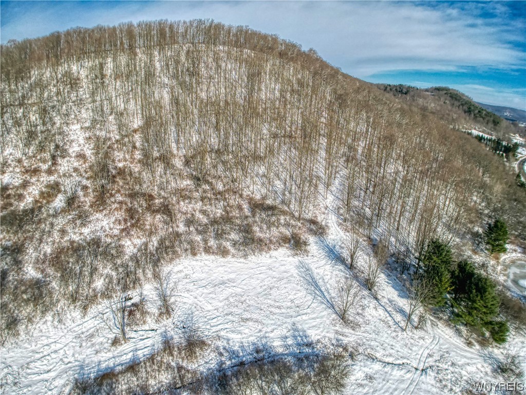 0 NYS Rte 242 Lot #3