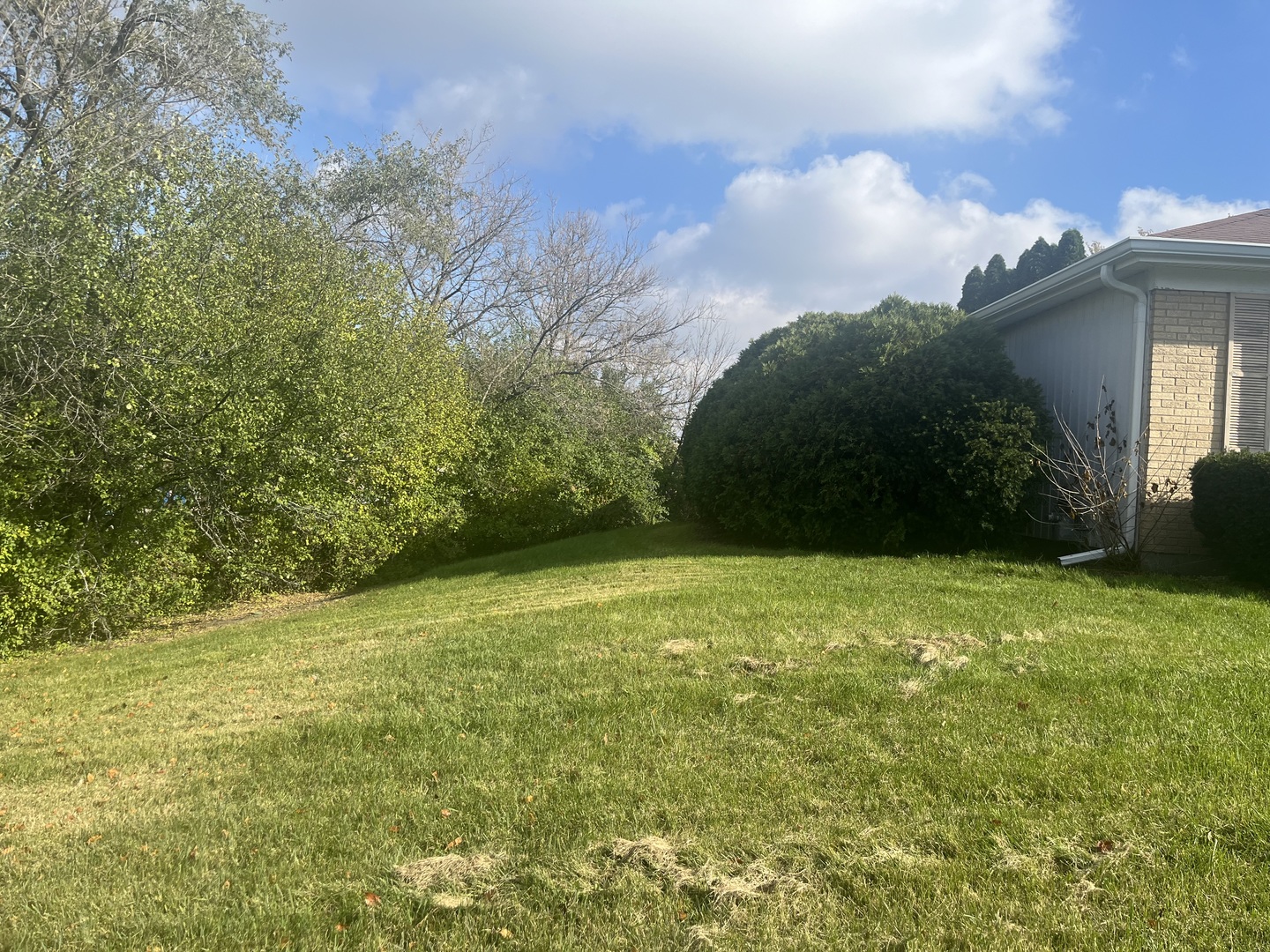 550 Cortland Drive
