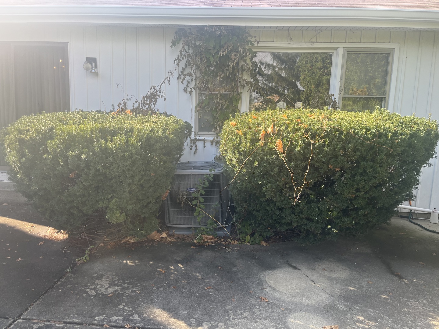 550 Cortland Drive