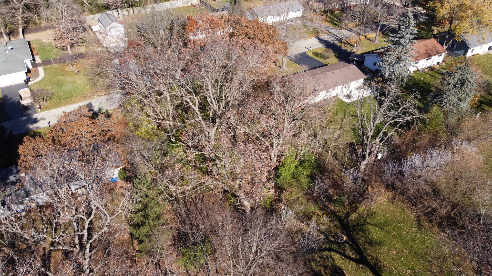 117 Kohl Avenue