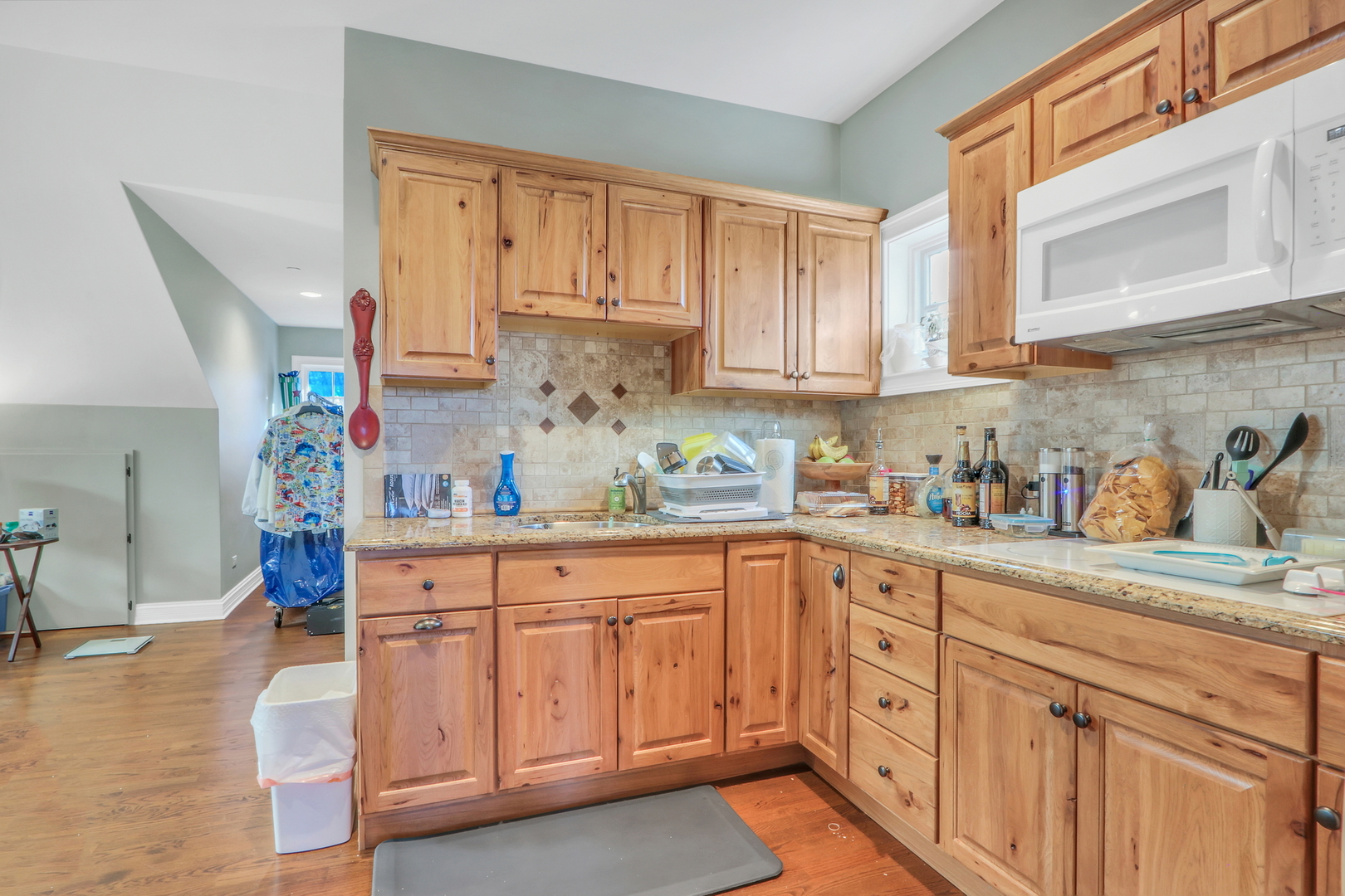 13357 W Greenview Drive