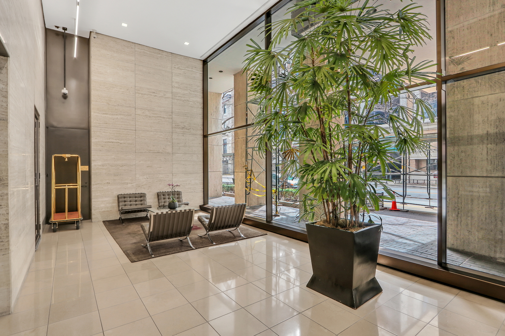 260 E Chestnut Street Unit: 1102