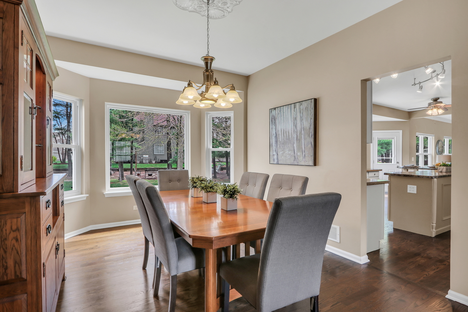 579 Old Walnut Circle