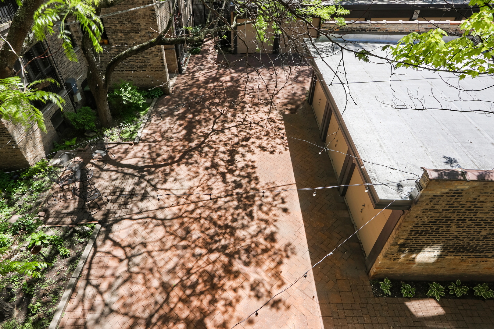 1100 GROVE Street Unit: 2W