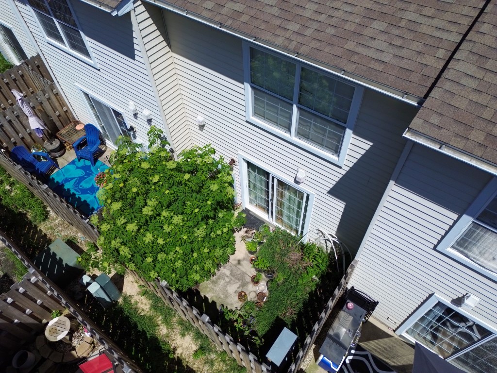 659 W Liberty Street Unit: E