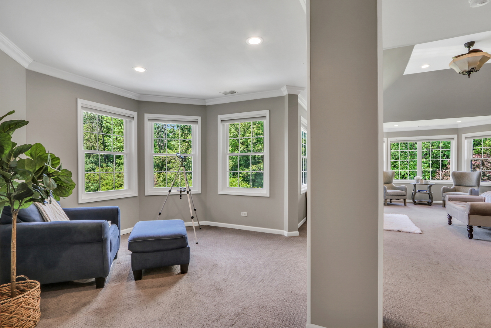 16229 W Foxglove Lane