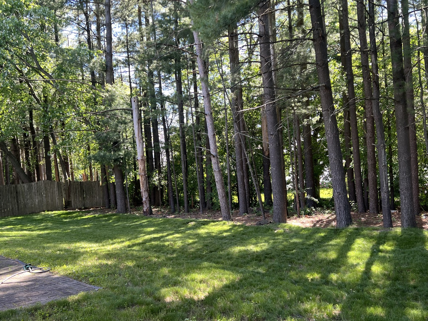 524 Prescott Lane