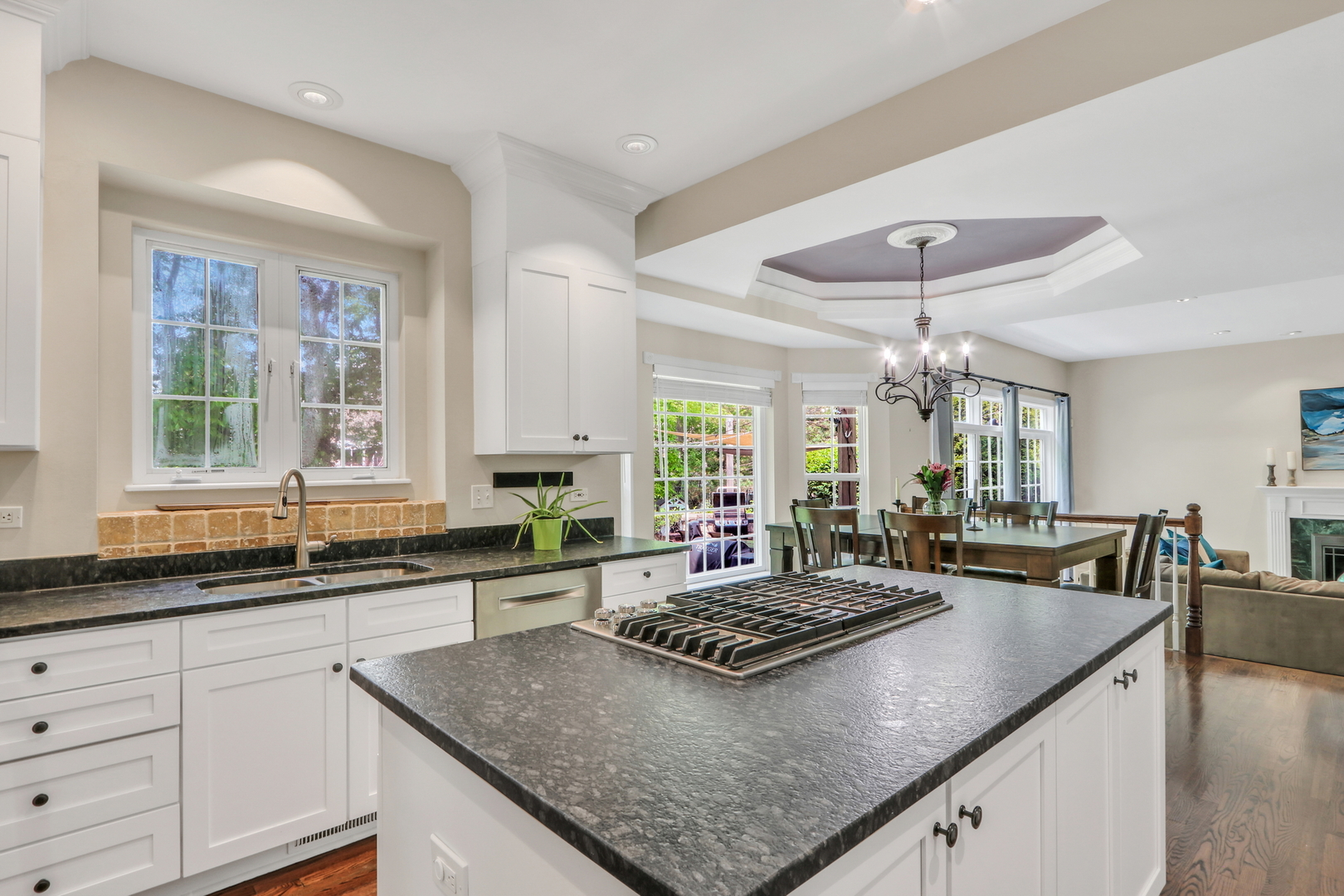 1156 Vineyard Drive
