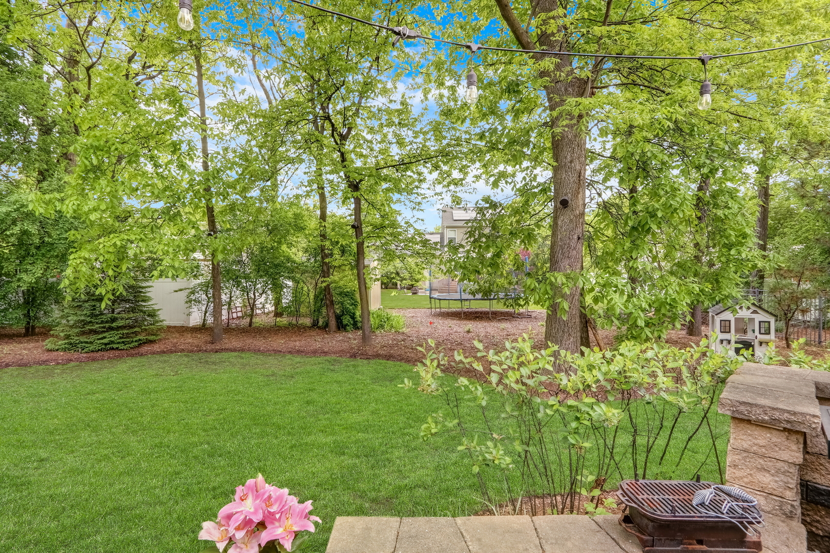1156 Vineyard Drive