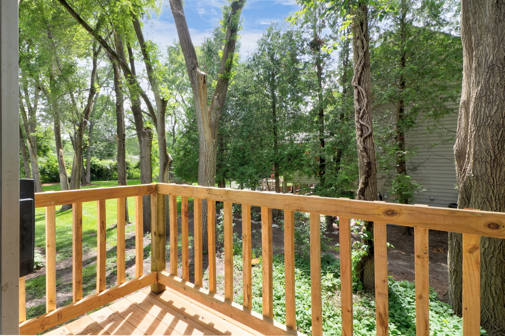 15683 W Birchwood Lane