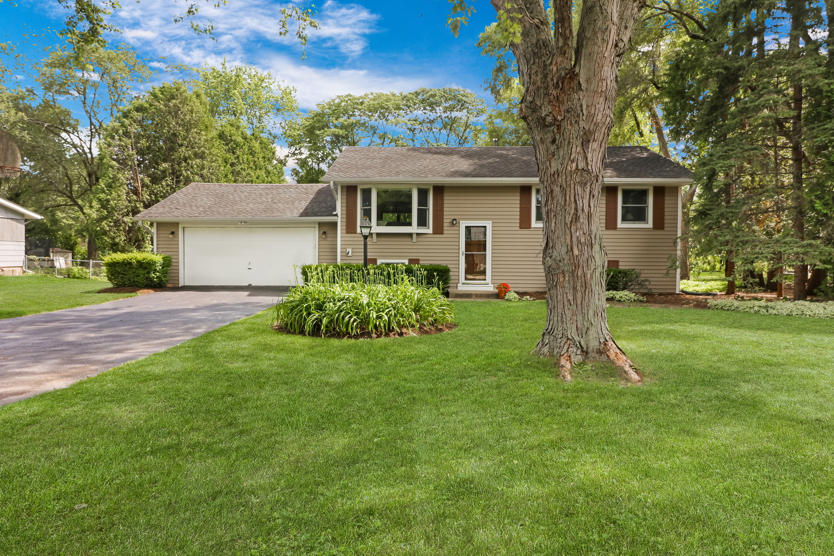 15683 W Birchwood Lane