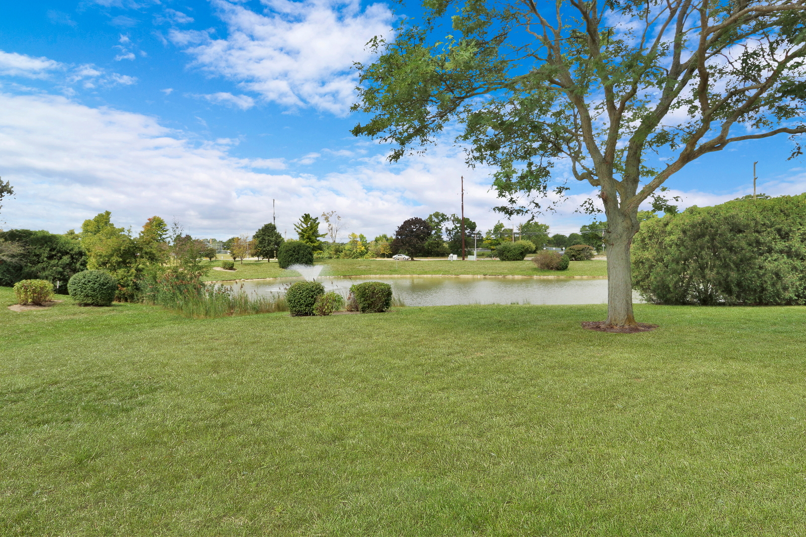 17462 W Walnut Lane