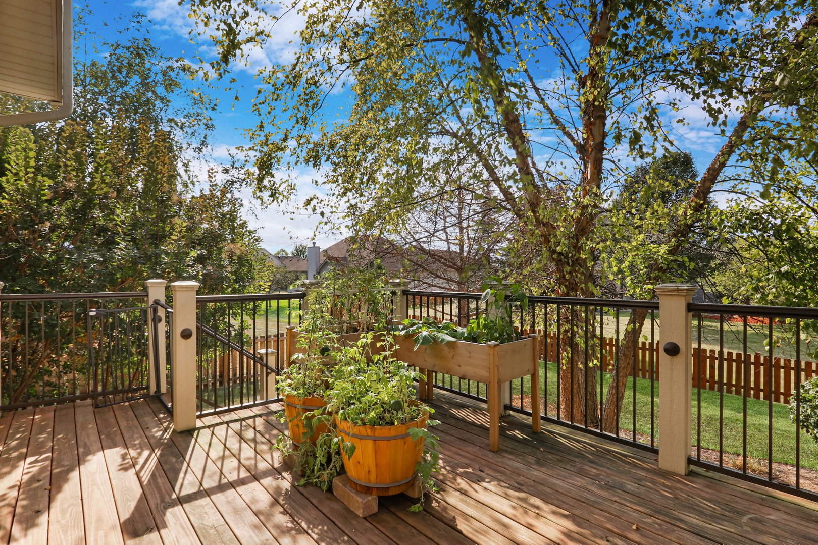 868 Red Hawk Drive