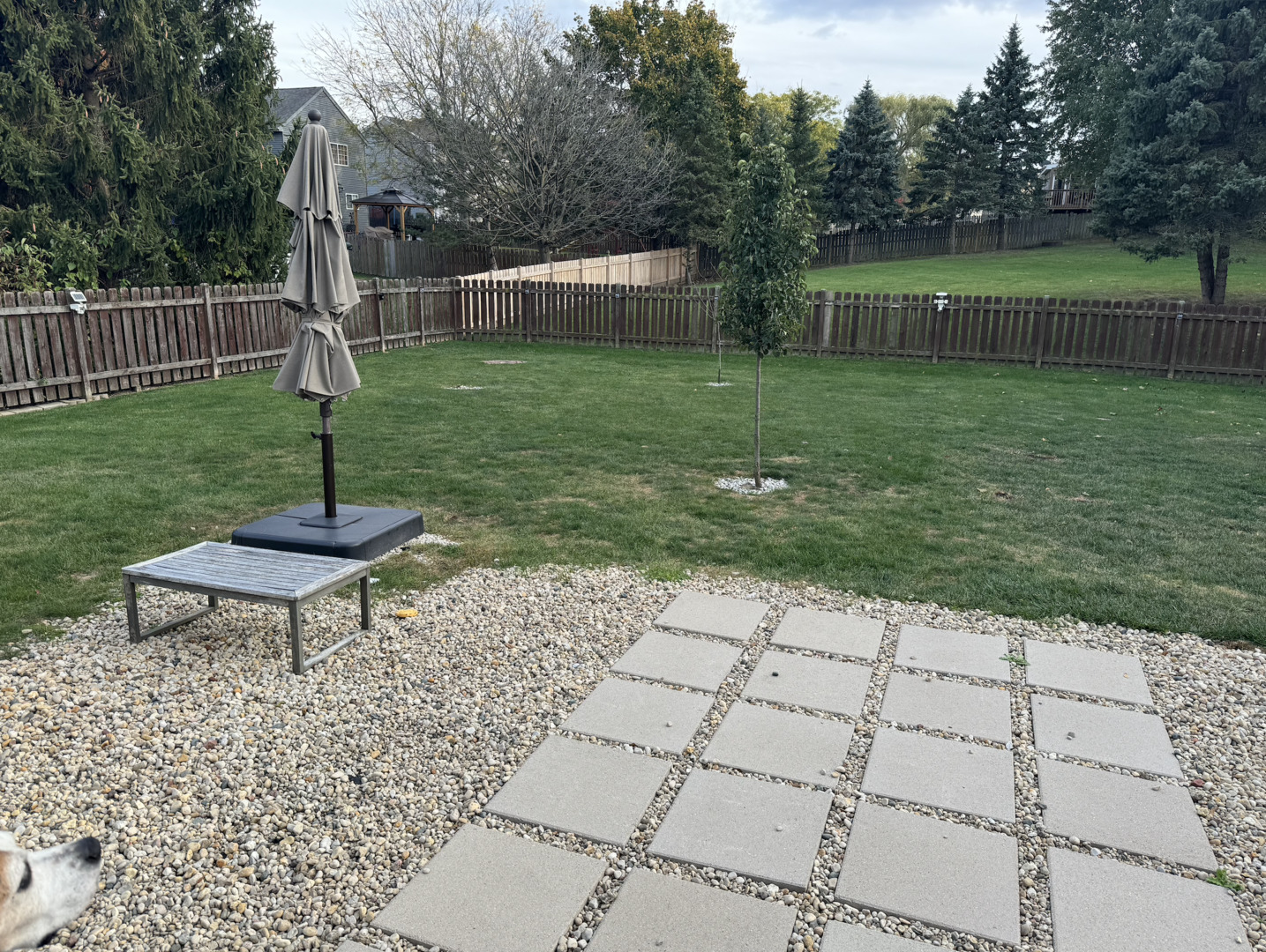271 Northwind Drive