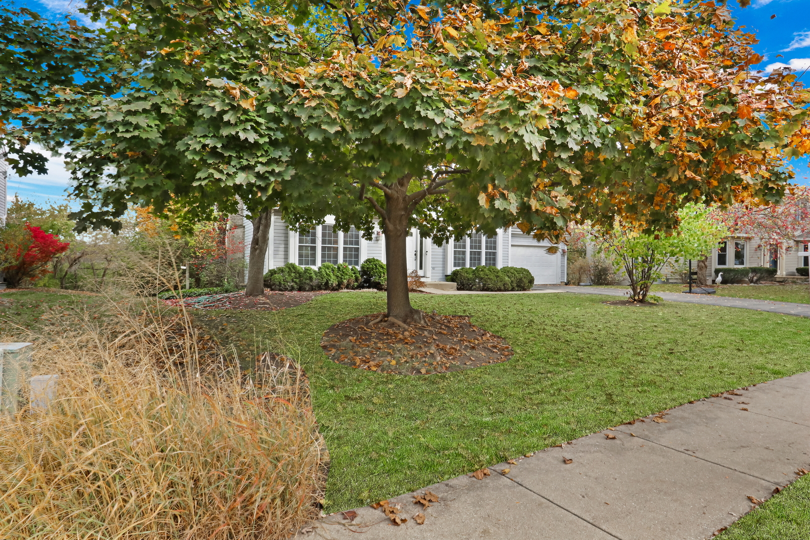 301 S Fork Drive