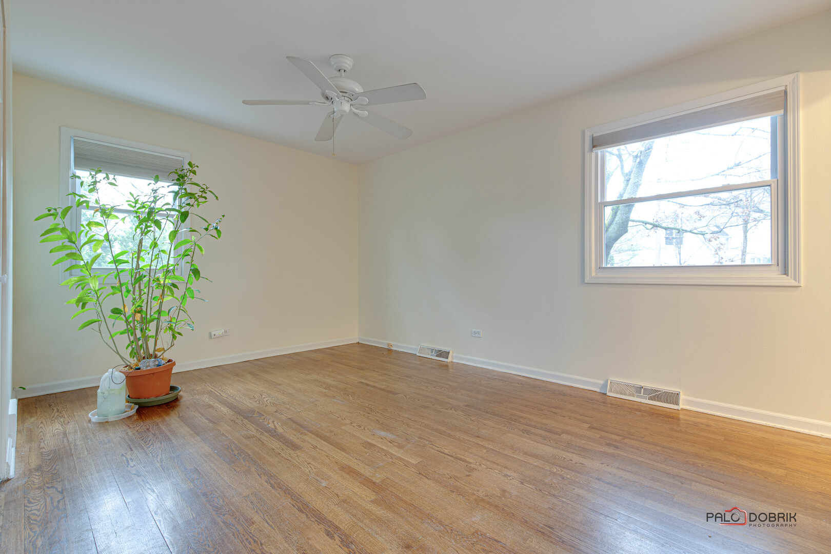 245 2nd Avenue