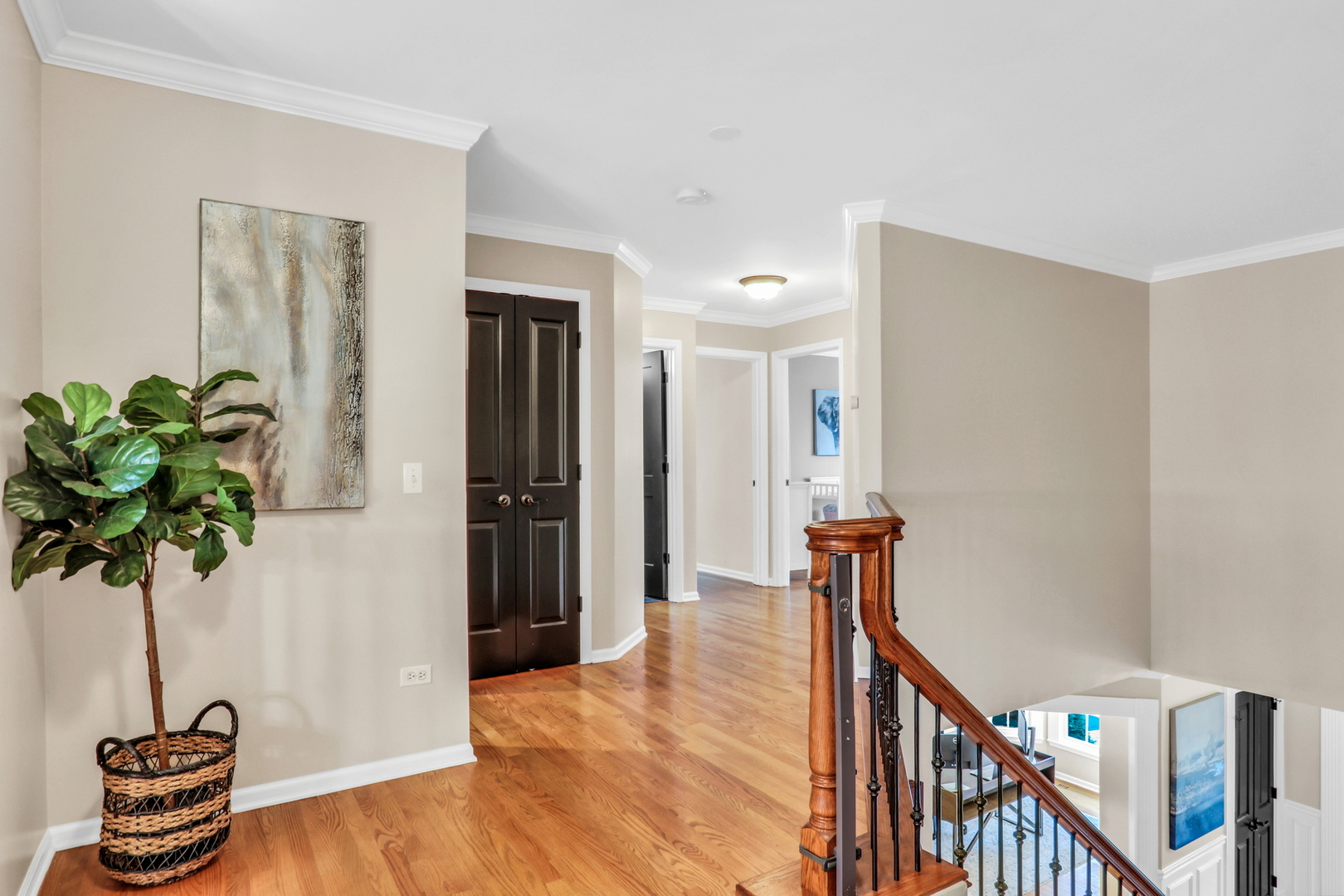 4461 Longmeadow Drive