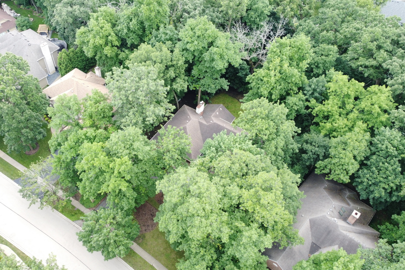 7509 Bittersweet Drive