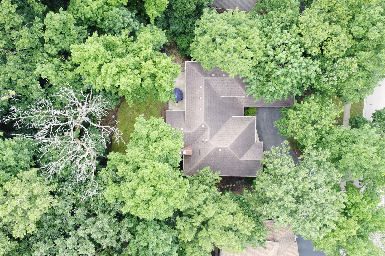 7509 Bittersweet Drive