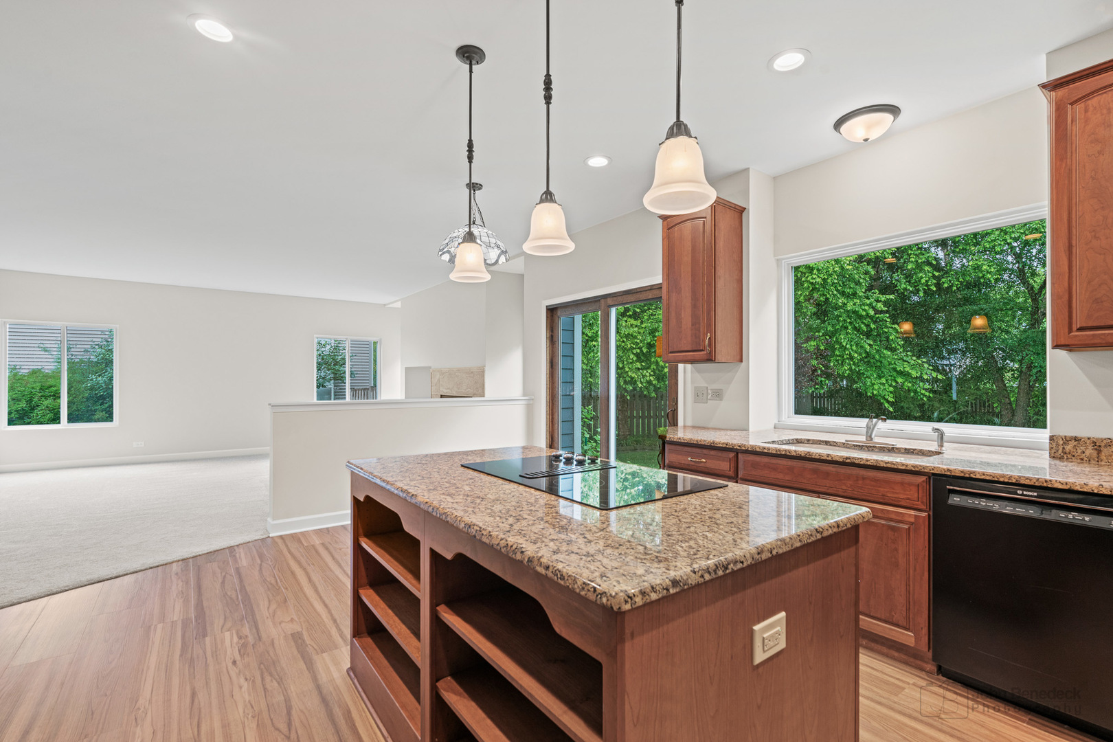 1109 Ravinia Drive
