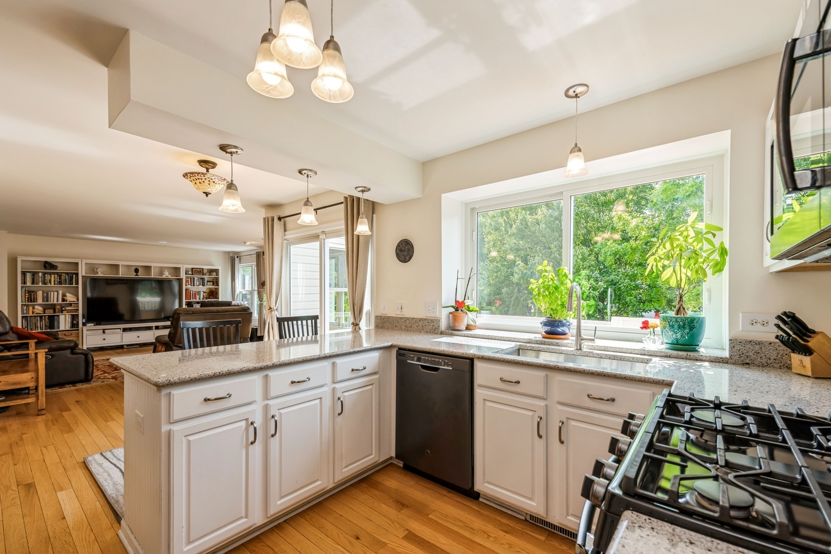 853 Savanna Springs Drive