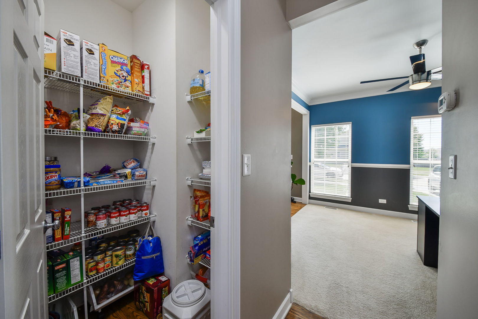 3347 Caledonia Drive
