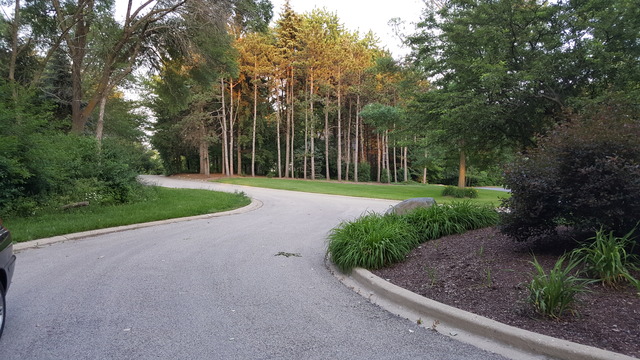 17 Heath Way