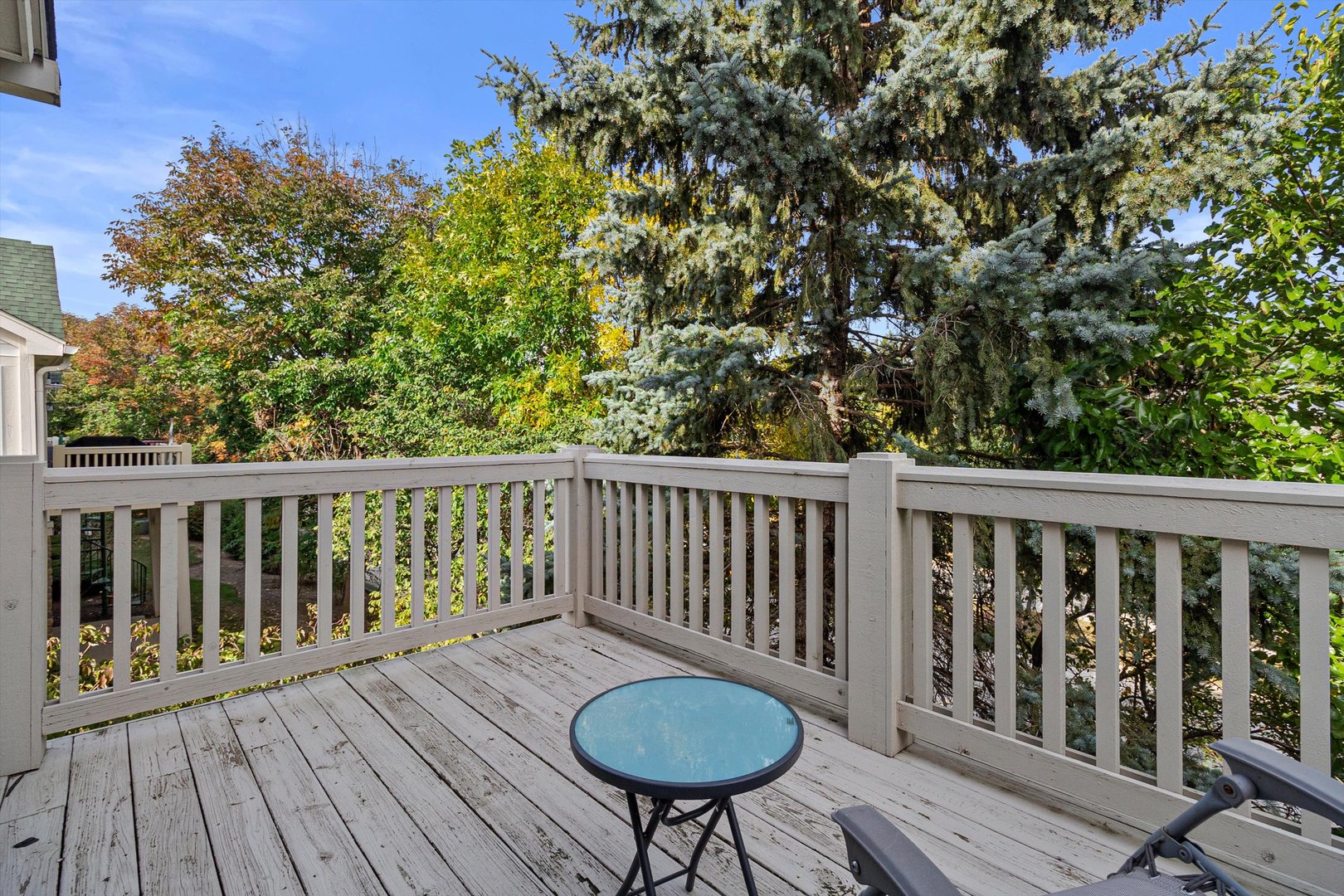 410 Bay Tree Circle
