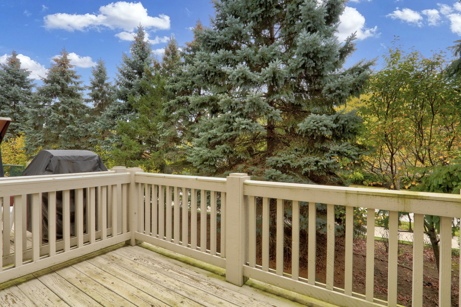 418 Bay Tree Circle