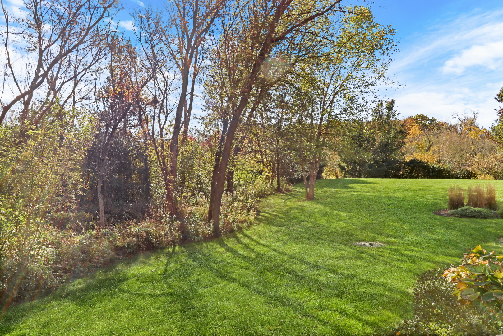 39716 Orchard Bluff Lane