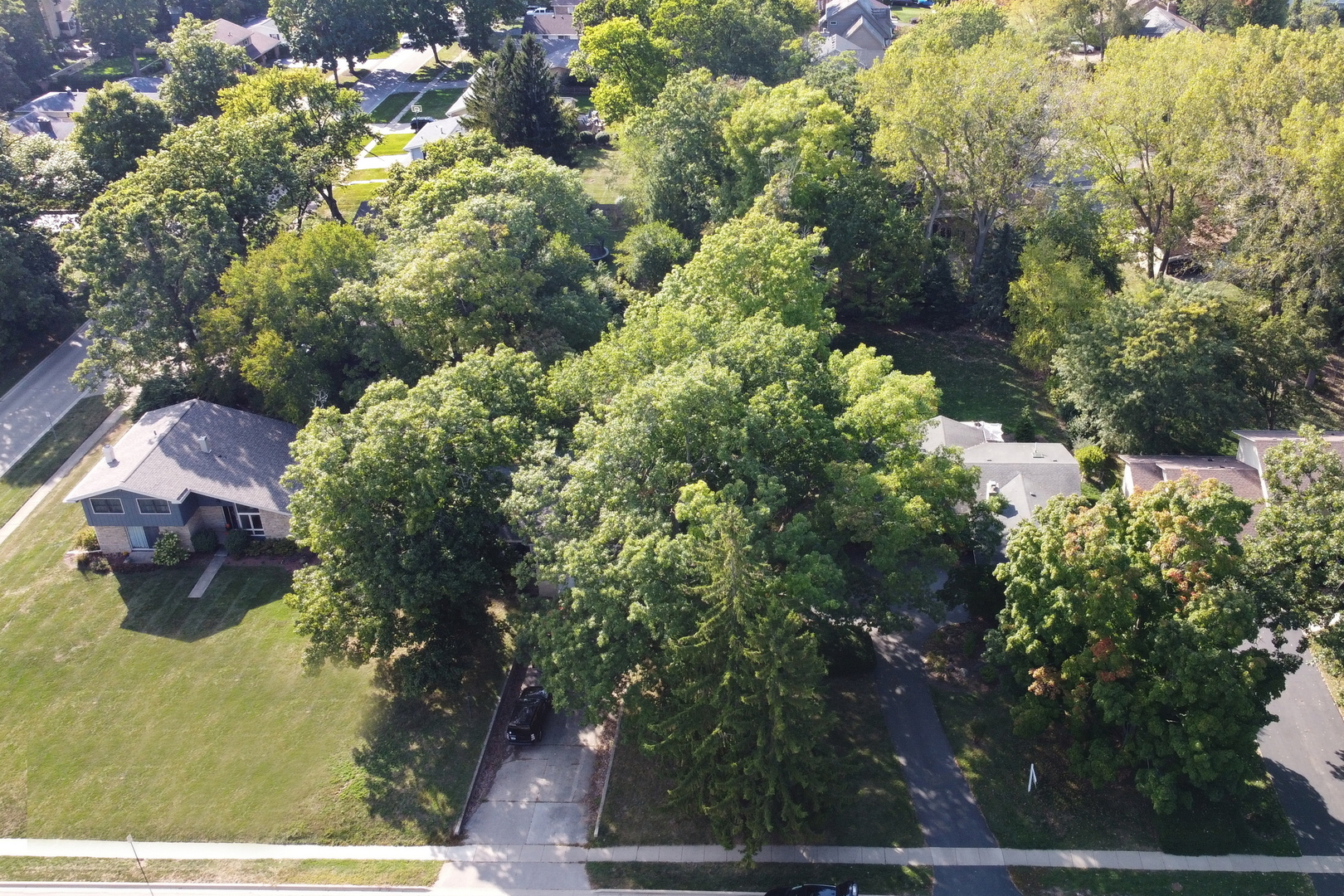 230 N Alleghany Road