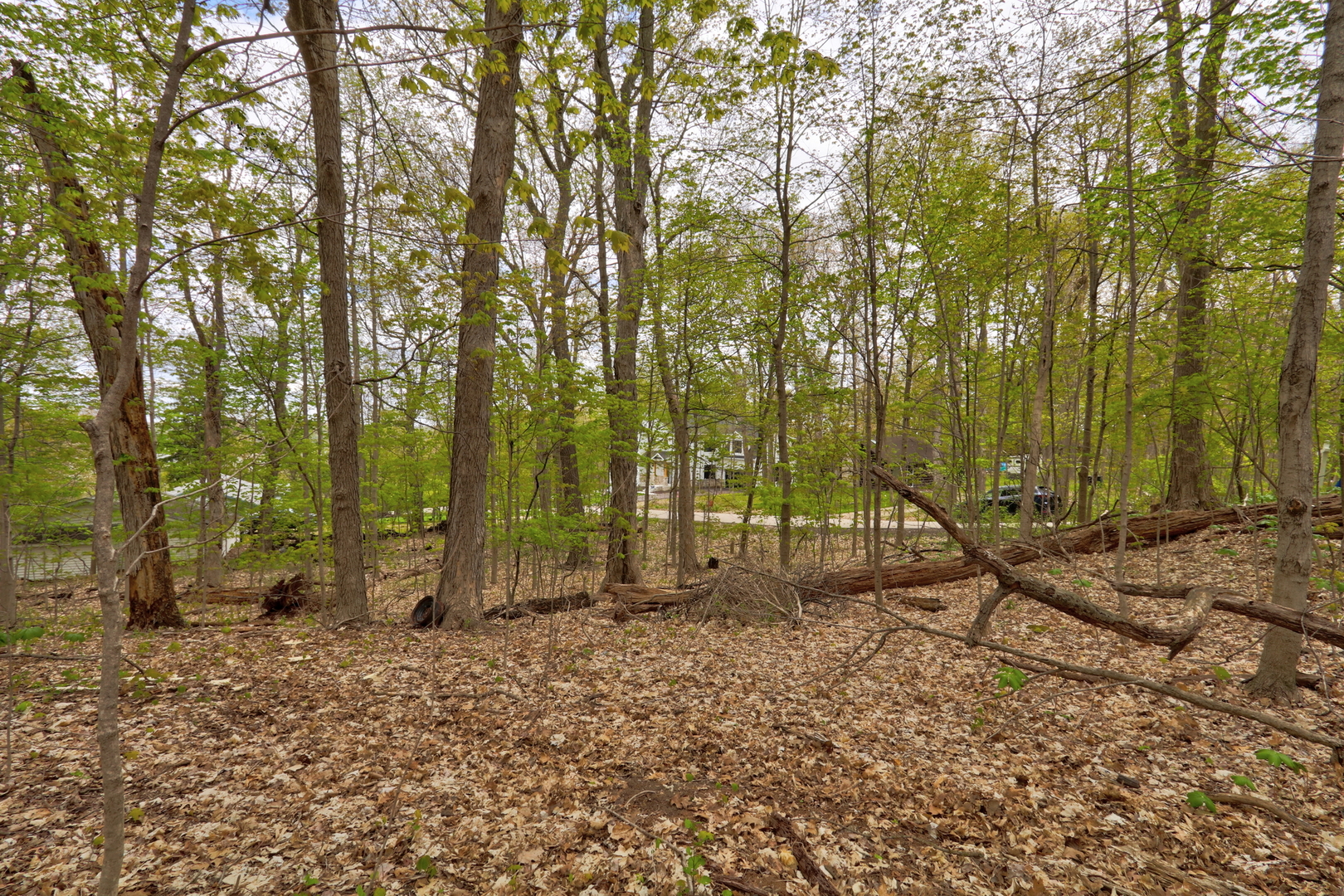 Lt 17-18 Forest Drive
