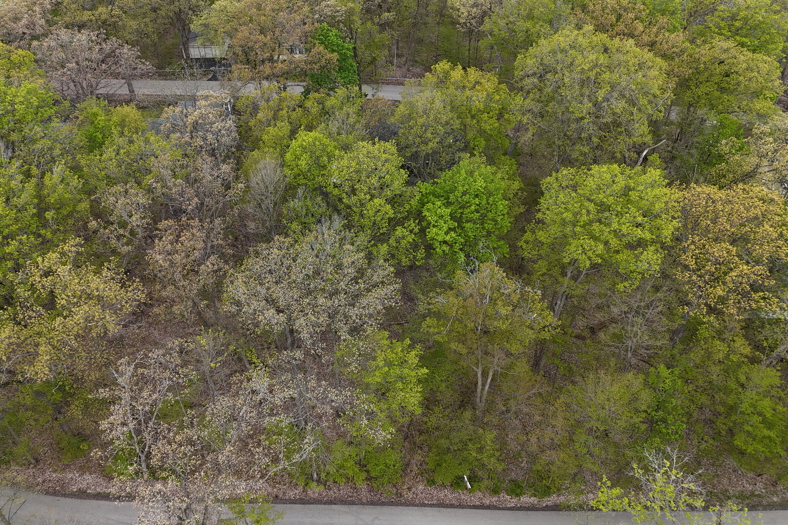 Lt 17-18 Forest Drive