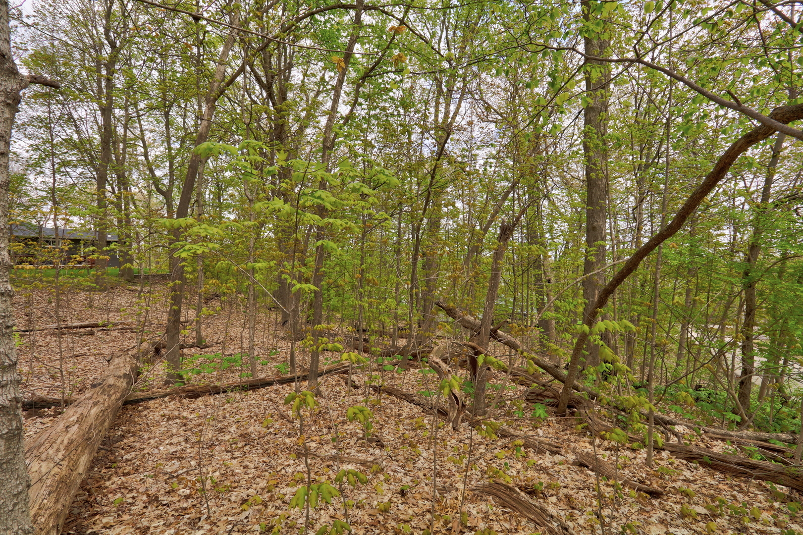 Lt 17-18 Forest Drive