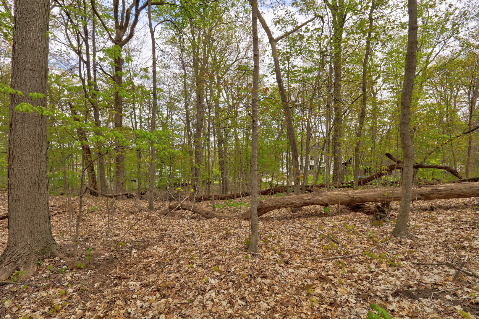 Lt 17-18 Forest Drive