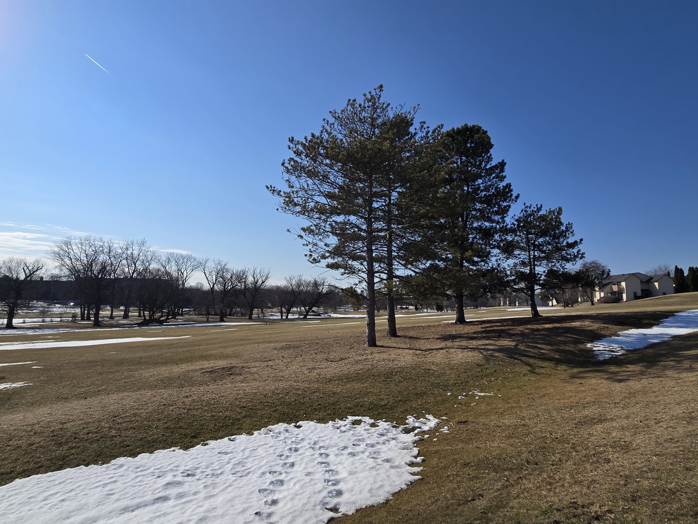 650 WHITNEY Court Unit: 211