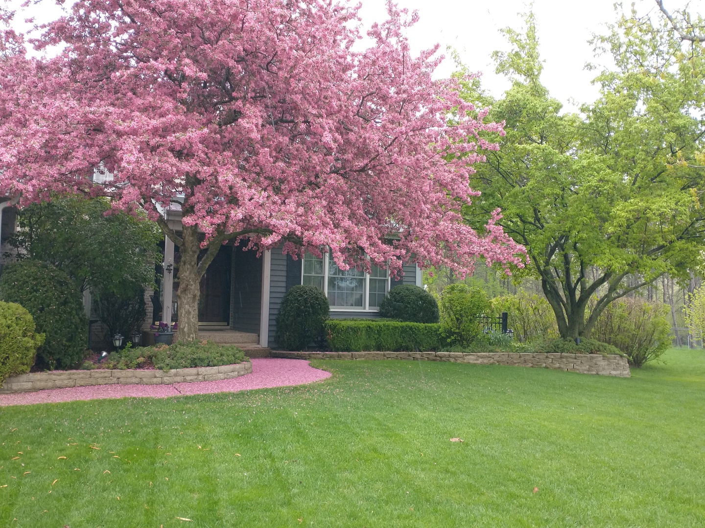 1055 Autumn Drive