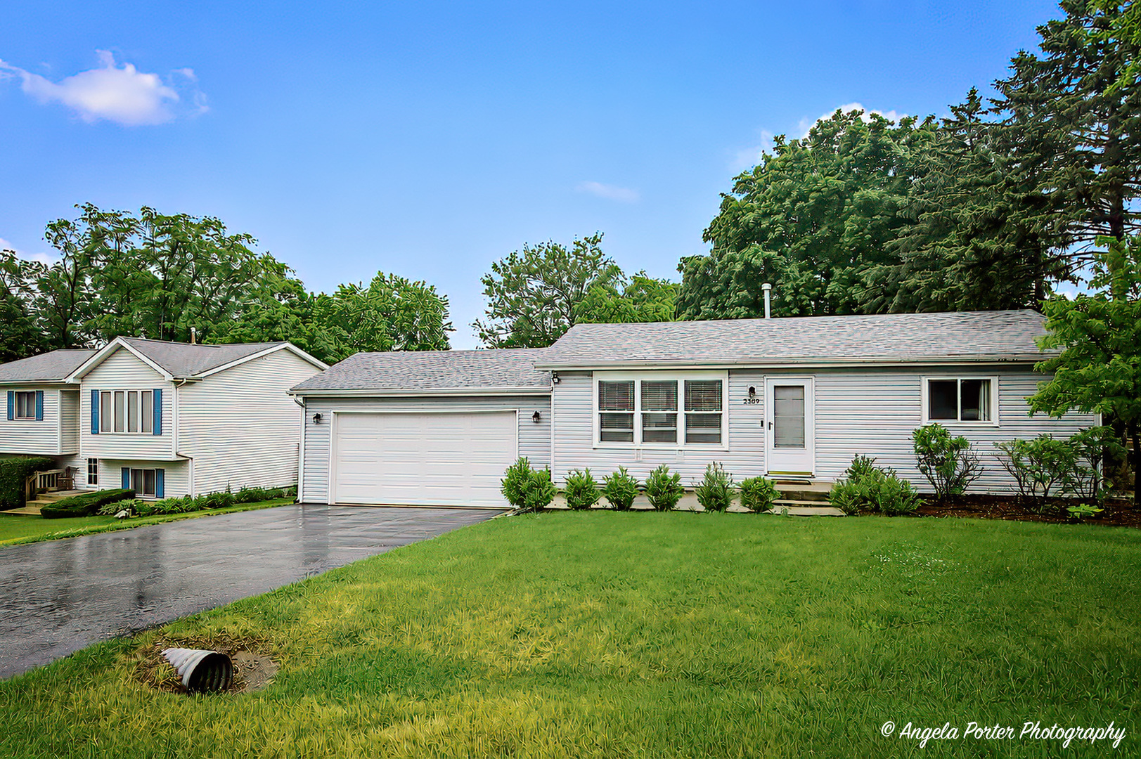 2509 Walnut Drive