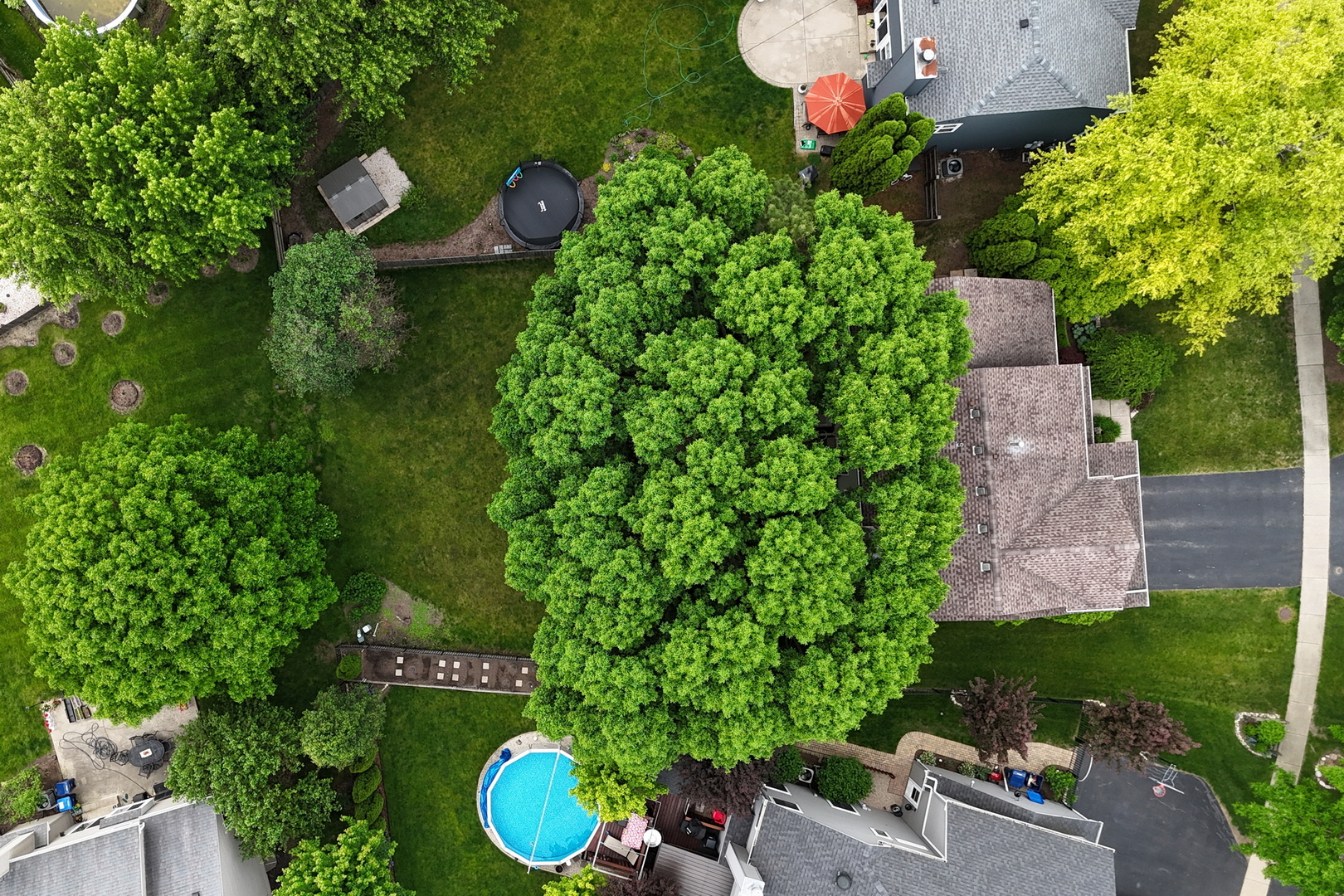 1211 Laurel Lane