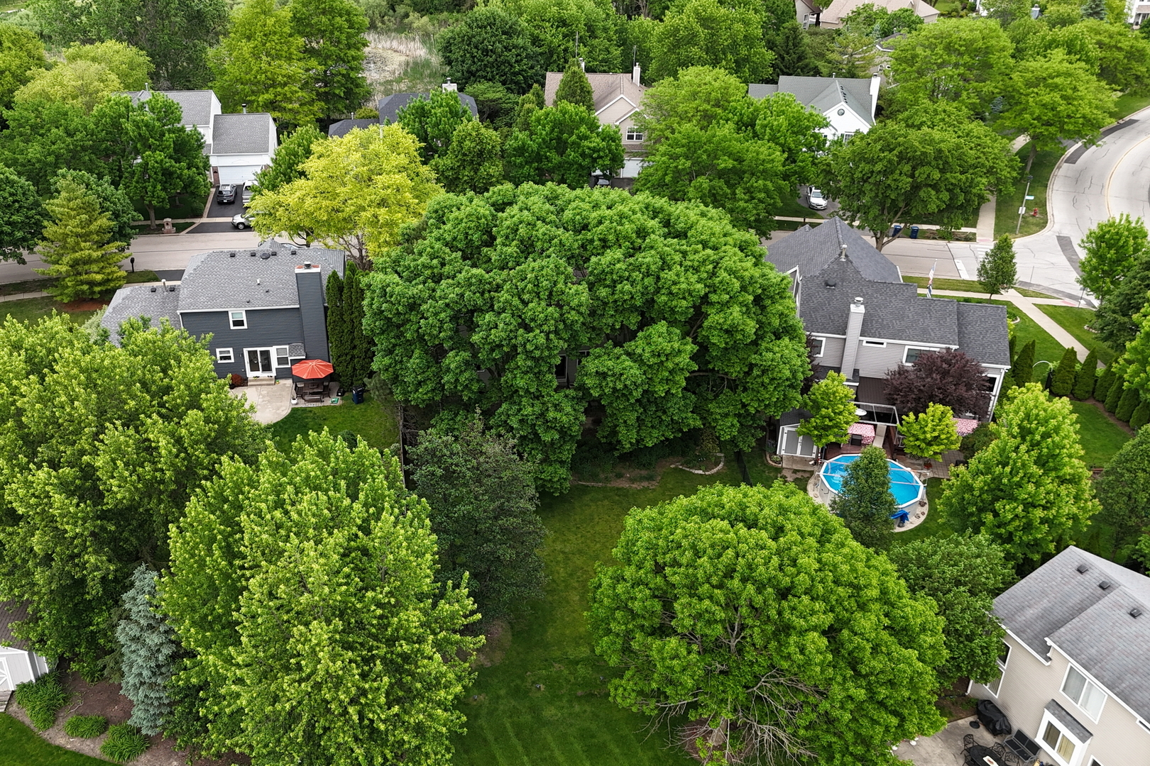 1211 Laurel Lane