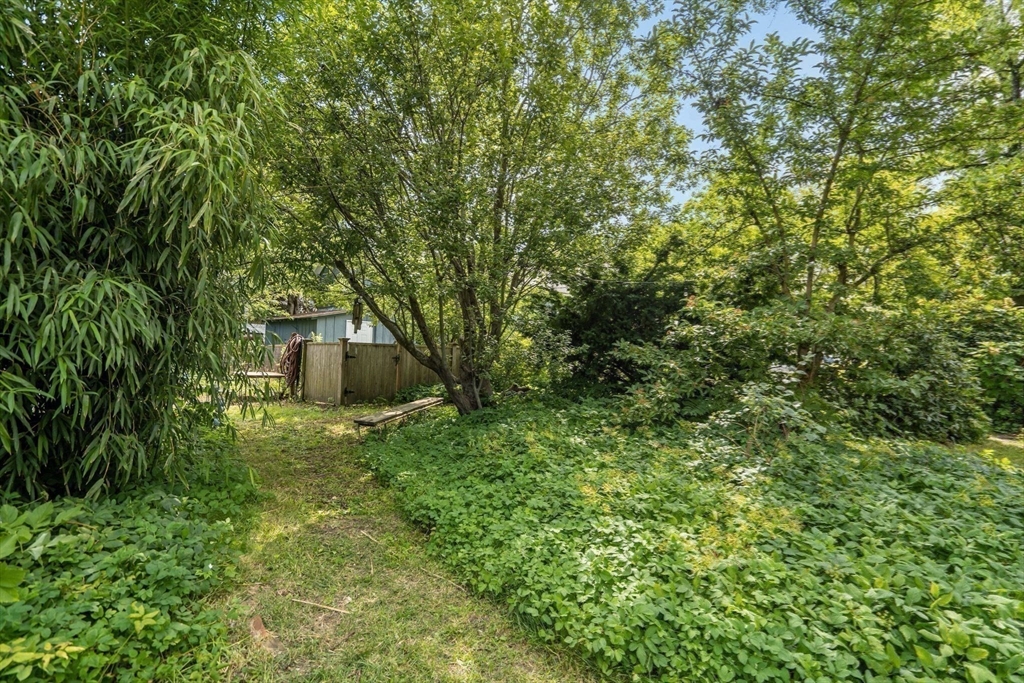 9 Shurland St