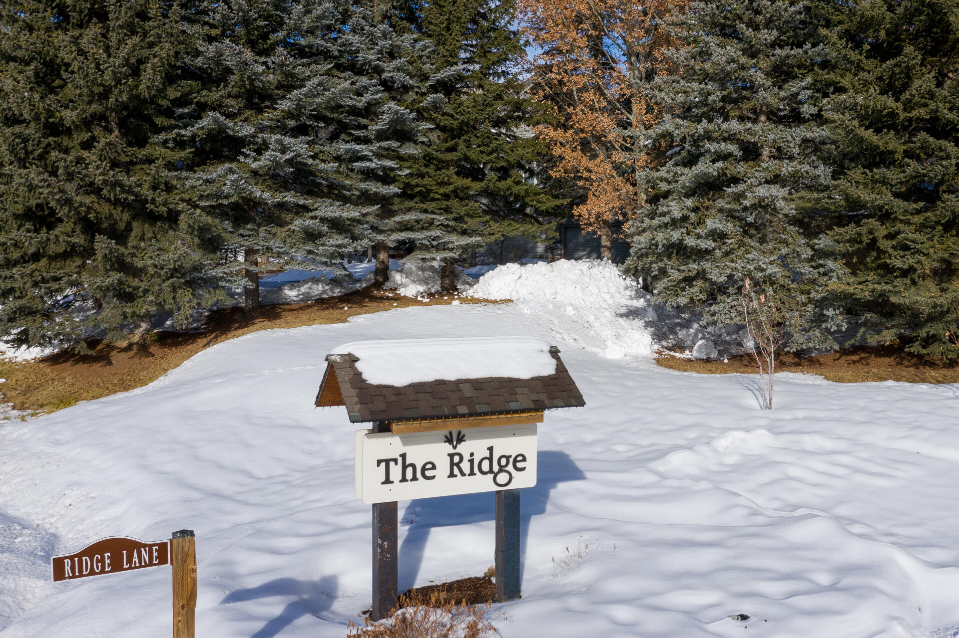 2698 Ridge Lane, 98