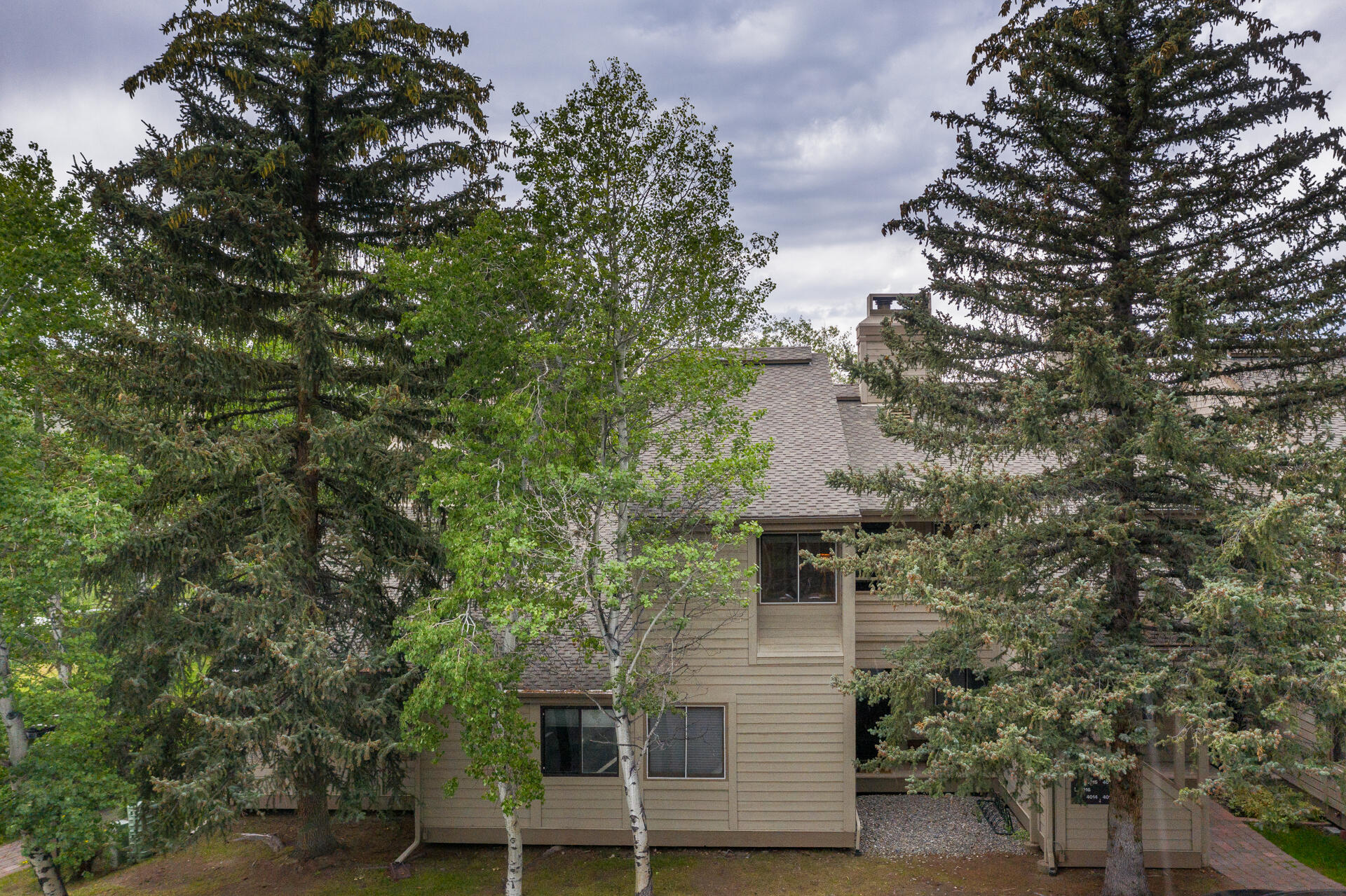 4015 BLUFF CONDO Dr