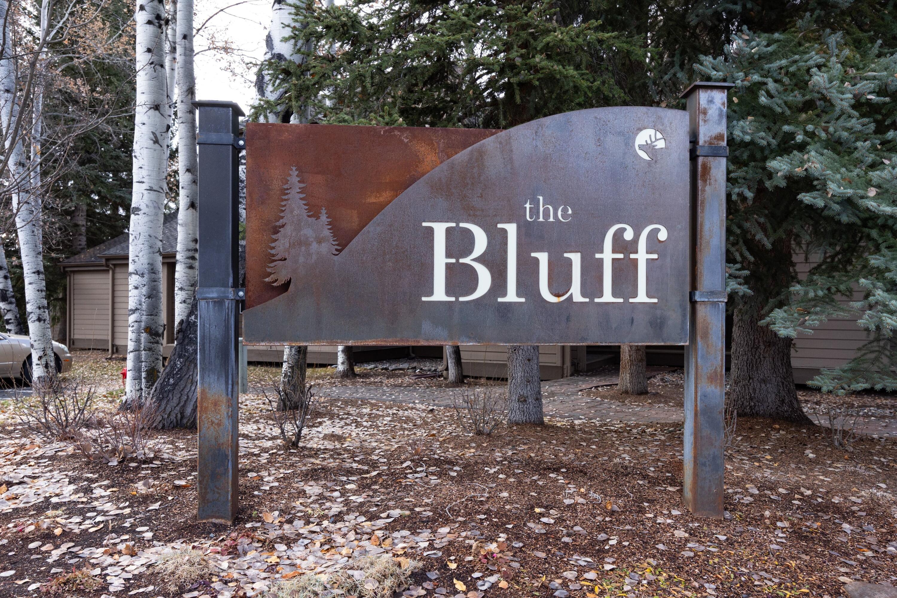 4125 BLUFF CONDO Dr