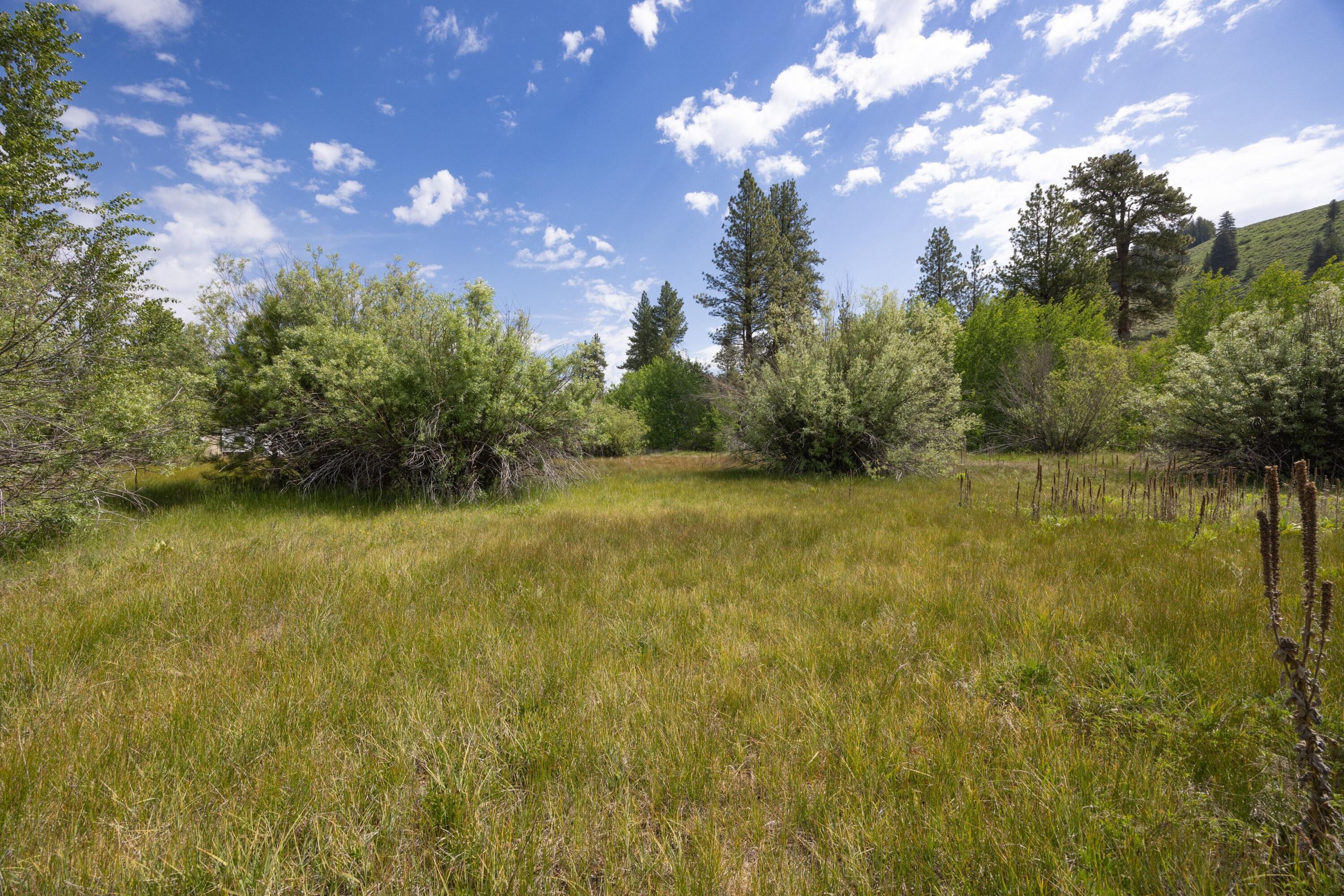 Lot 51 Elk Valley, Pine/Featherville