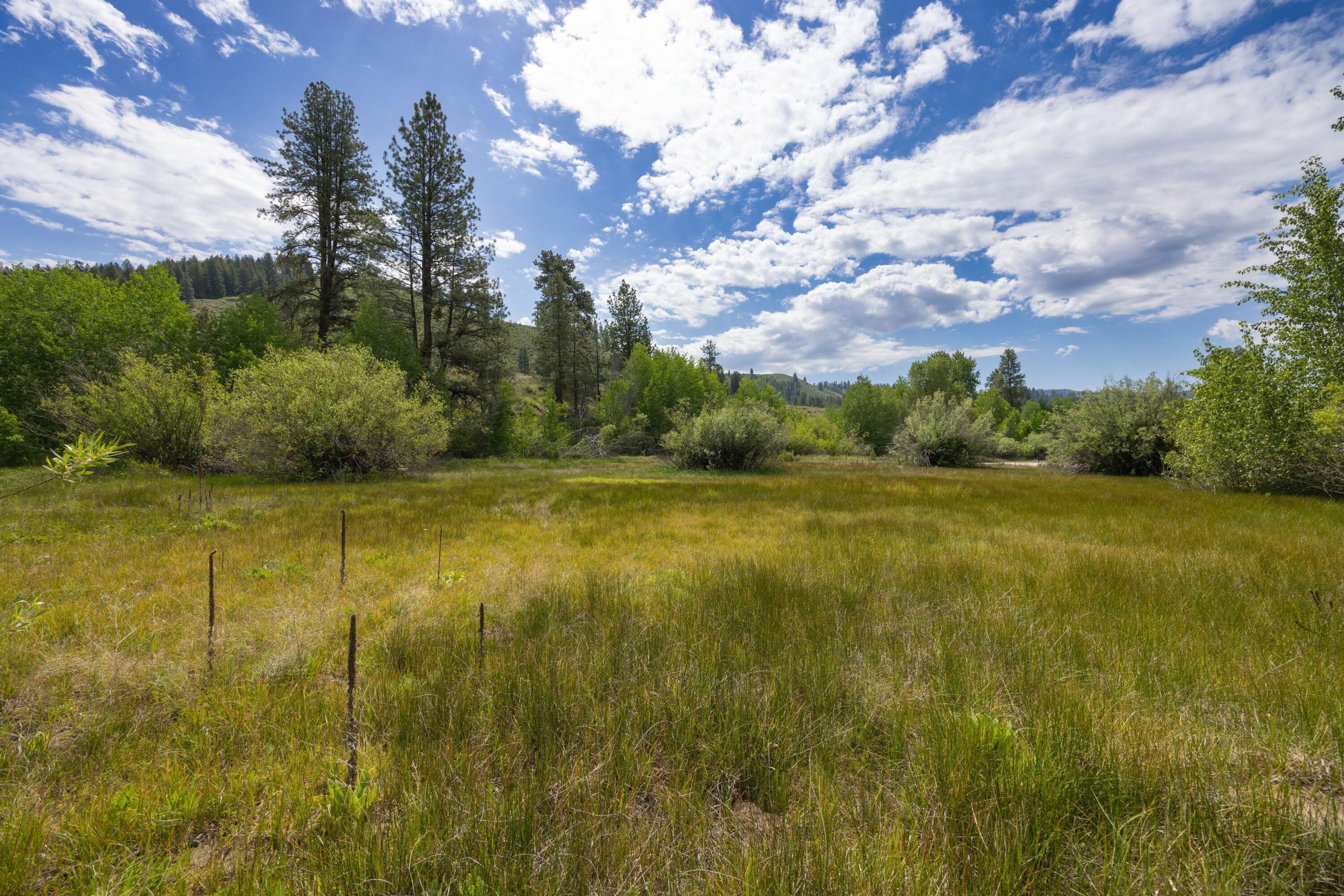 Lot 51 Elk Valley, Pine/Featherville