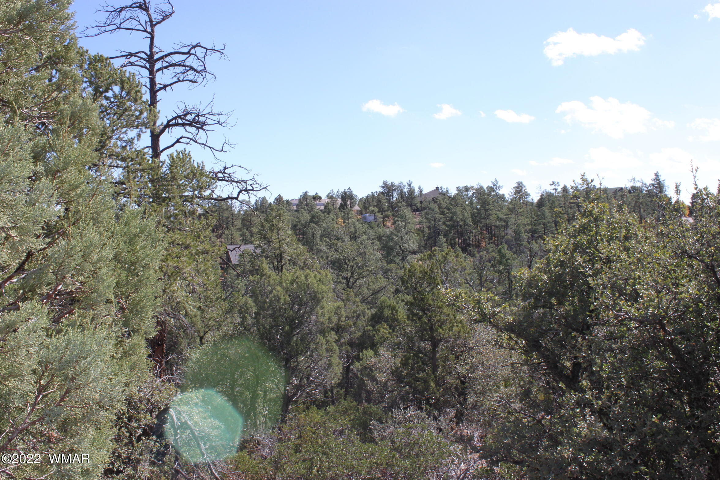 1970 S Pleasant View Drive