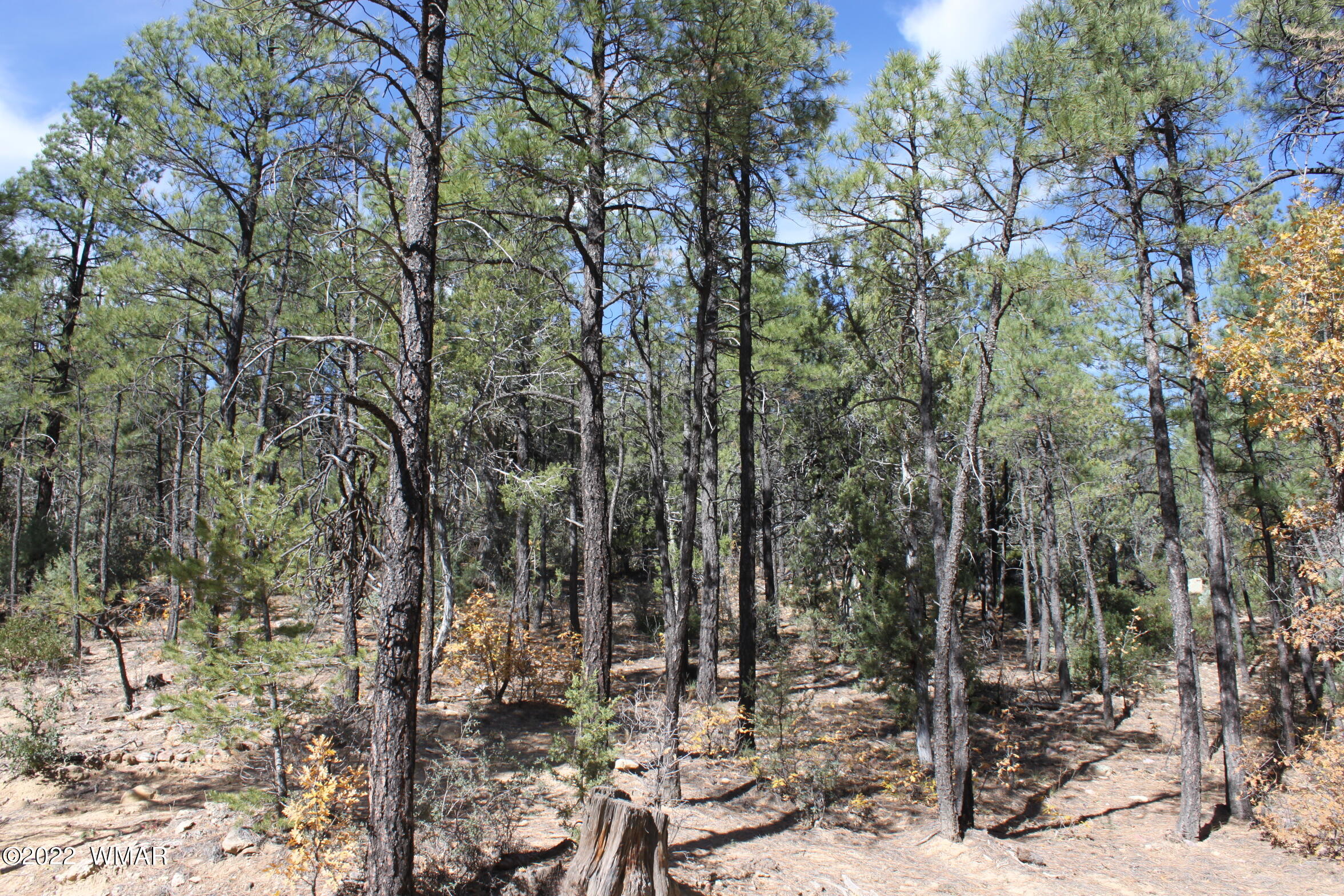 1970 S Pleasant View Drive